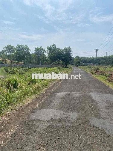 Bể Nợ bán lô đất mặt tiền Long Hà, Phú Riềng, Bình Phước