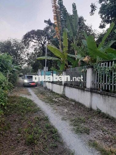 Đất An Thạnh Thuận An BD cũ. đườg thực tế 4m thông. 35,5x47 thổ cư 100
