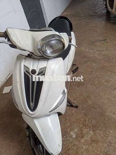 Xe chạy đi làm chạy xăng