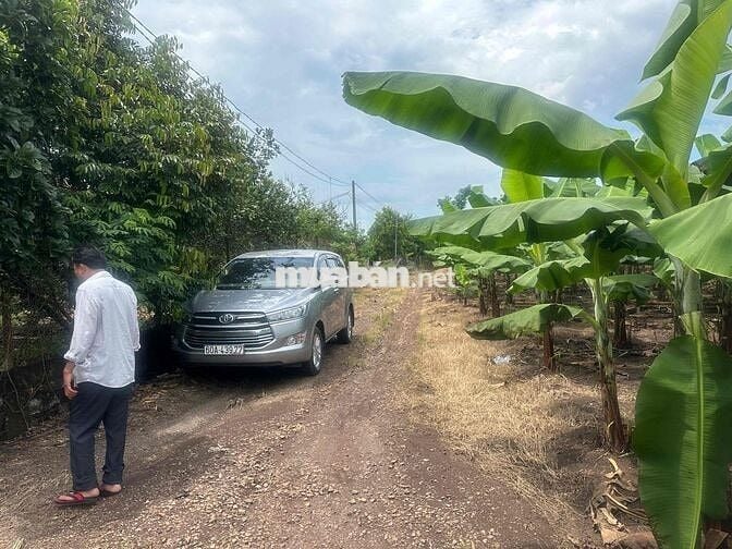 bán đất vườn trái cây Bình Lộc Long Khánh