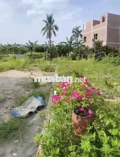 Đất 43m2 ngang 4,5m ngõ ô tô TDP Bạch Mai, Đồng Thái 1.24 tỷ