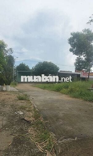 💥⭐[BÁN ĐẤT]⭐💥 HOÀ QUÝ NGAY LÀNG ĐẠI HỌC , ĐƯỜNG Ô TÔ⭐⭐⭐⭐⭐