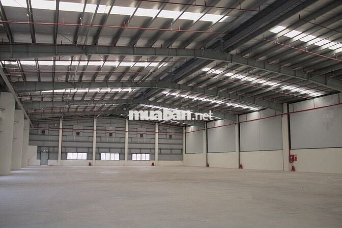 CHO THUÊ NHÀ KHO 1000M² SẴN PCCC TẠI LIÊN CHIỂU – GIÁ CHỈ 50K/M²/THÁNG