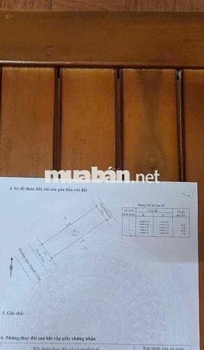 Đất KDC Đông Hải sát biển và sông giá rẻ nhất thị trường