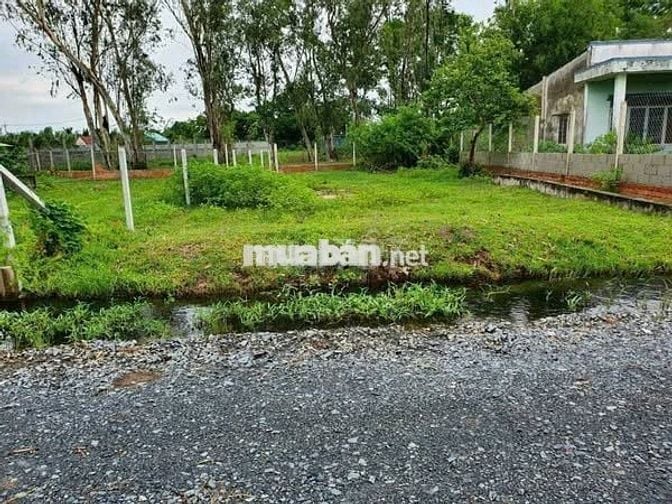 HÀNG NGỘP CẮT LỖ LÔ ĐẤT THỔ 240m2 TÂN PHÚ TRUNG