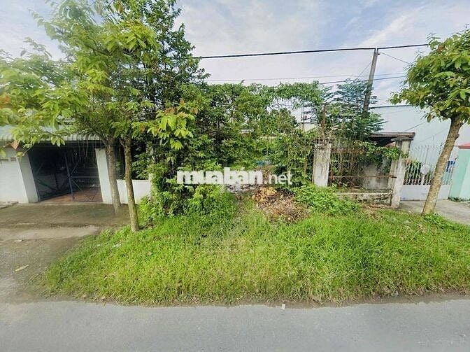 CHỦ KẸT TIỀN CẦN BÁN GẤP LÔ ĐẤT MT (9,5x28) Đ TỈNH LỘ 2, TÂN THÔNG HỘI
