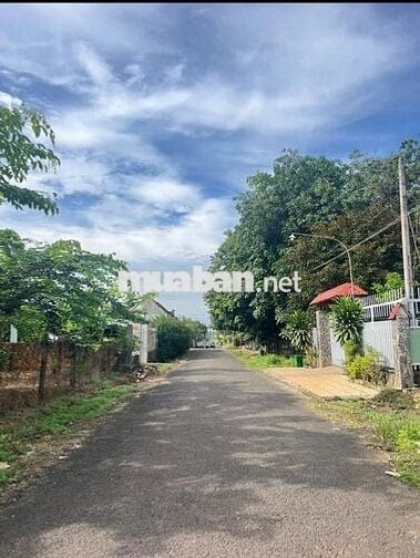 Đất 1/ QL 14 Ngay Bệnh Viện Tỉnh KDC Đông Đường Nhựa 8m Thông Nở Hậu