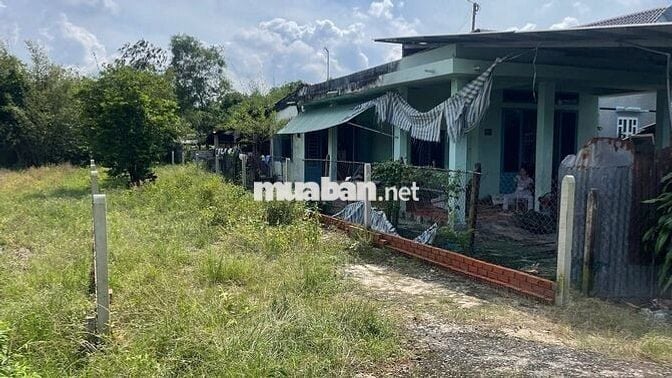 Bán gấp 172m2 mặt tiền đường nhựa trung tâm xã Thái Mỹ Củ Chi 850triệu