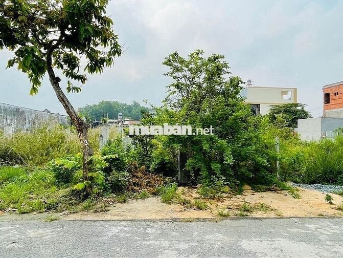 Bán nhanh lô đất Đ.Đặng Thị Tô, Trung Lập Hạ DT 107m2 giá 1 tỷ, SHR