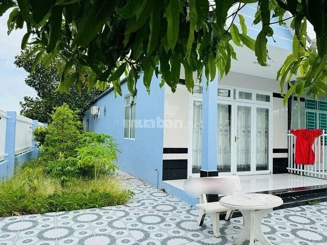 BÁn gấp căn nhà vườn ngay Tân Thông Hội, CỦ CHi, 800 triệu, 8x22m