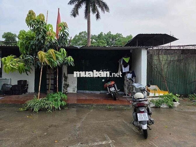 Cần Bán Nhà Cấp 4 Trục chính đường Lạc Hồng, Thanh Xuân, Hà Nội 1,65 t