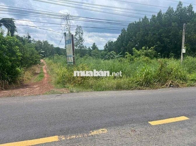 Cần bán 4500m vuông đất mặt tiền Long Tân, Dầu Tiếng. Giá 15 tỷ
