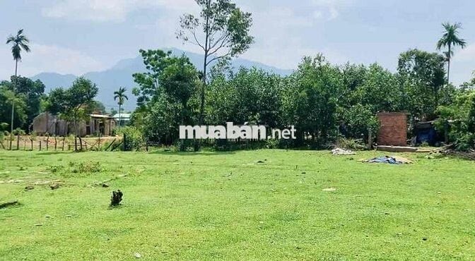 Mảnh vườn có sẵn đất ở mặt ngang 38m có sẵn đất ở