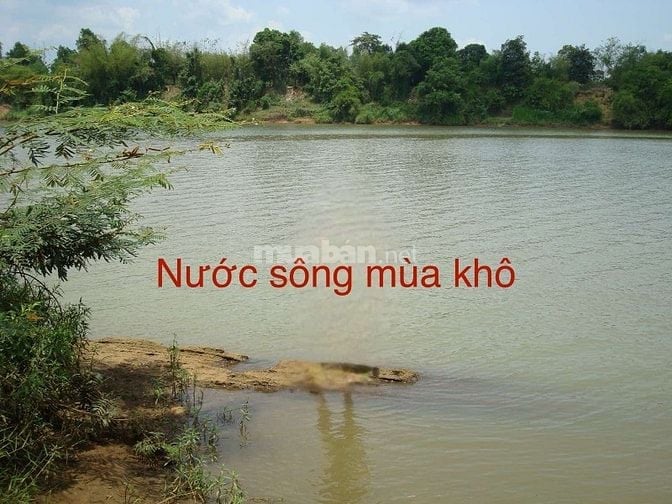 BÁN ĐẤT VƯỜN/ THỔ CƯ MẶT TIỀN SÔNG ĐỒNG NAI GIÁ 1,5 TRIỆU/m2 CÓ SỔ ĐỎ