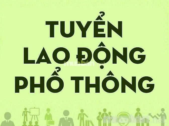 Tuyển Lao Động Phổ Thông Quận 12