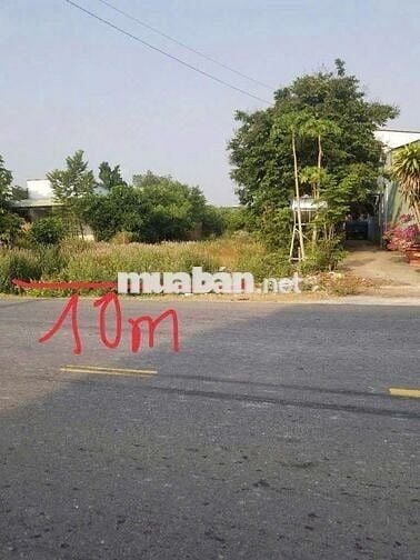 Bán đất nền mặt tiền đường ĐH509, 1000m2 (10x100) 100m2 TC, giá 800tr