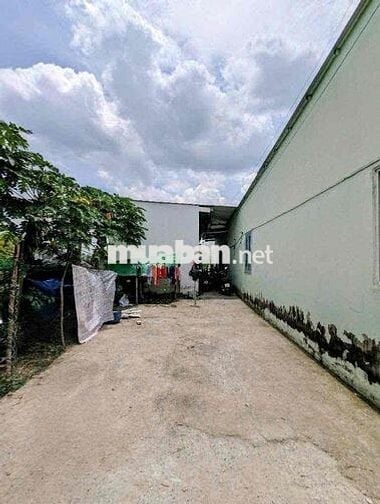 🏠 BÁN NHÀ + DÃY PHÒNG TRỌ AN PHÚ TÂY, BÌNH CHÁNH – THU NHẬP ỔN ĐỊNH