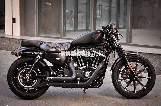 Thanh Motor cần bán Harley Davidson Iron 883 2021