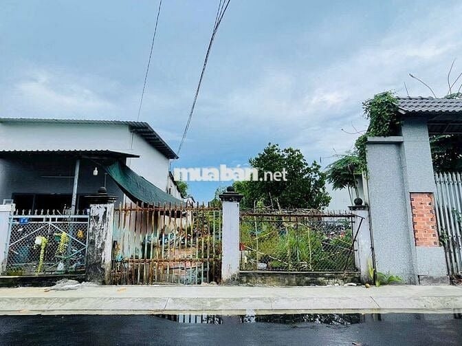 Đất mặt tiền Nguyễn Phong Sắc - TT Củ Chi: 278m2(6,2x37).Giá 3 tỷ 390