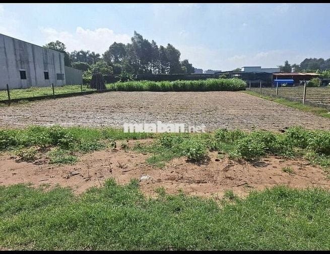 BÁN ĐẤT: 147m2 đất Trung Lập Hạ - SHR Giá 350tr