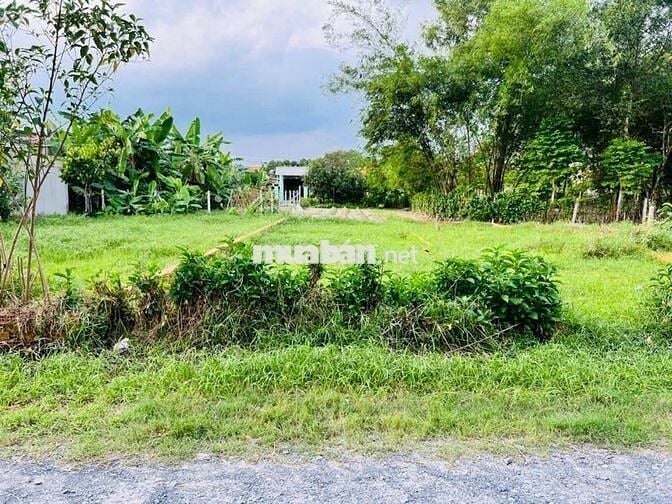 Bán đất Trung Lập Hạ - Củ Chi : 101,7n2 - full thổ cư . Giá 750 triệu