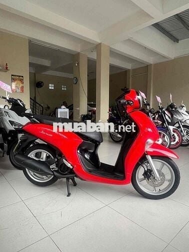 zanus 2022 . mẫu mới. máy zin im . áo đẹp ko trầy