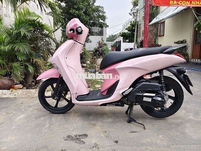 Janus zin êm .ngay chủ