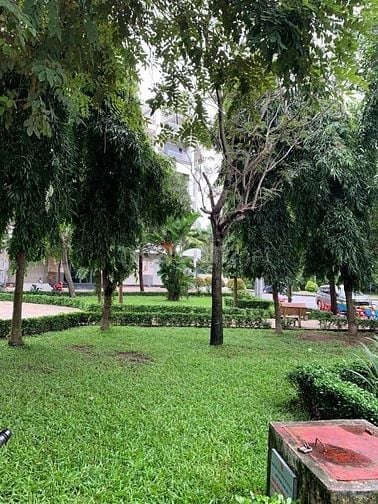 BÁN NHÀ ĐƯỜNG SỐ 86 Q6, VIEW CÔNG VIÊN (5X15) 4 TẤM ĐẸP. GIÁ 11,8 TỶ