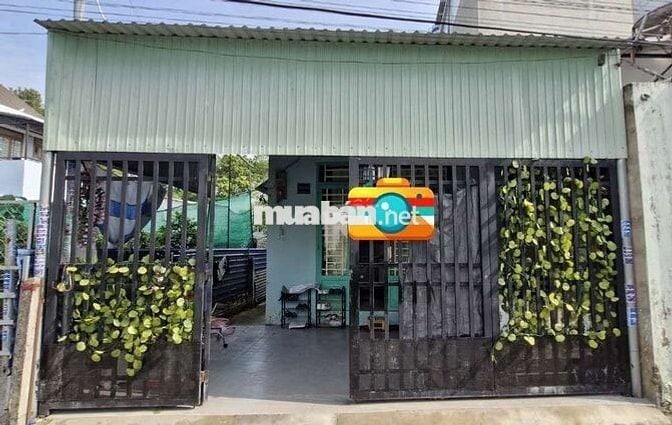 Chính chủ cho thuê nhà nguyên căn. Đường ô tô. 288 Phú Lợi. TDM
