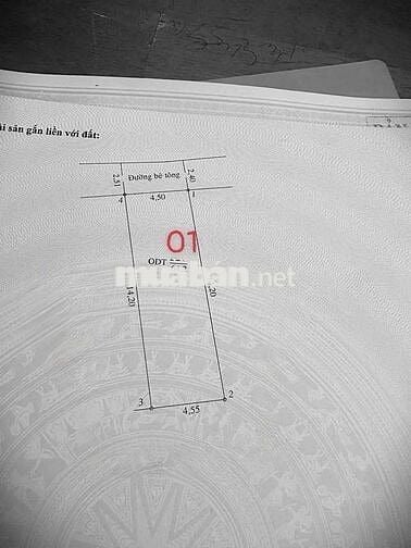 Bán 2 lô phú hoà khu 8 TDM Bình Dương 
💥 Dt 4.5 x 14m
Thổ cư 100%.