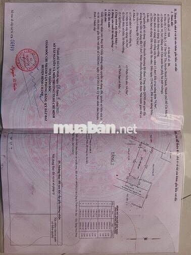 Bán nhà cấp 4  sân trước sân sau phòng khách 2 phòng ngủ