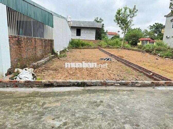 Bán đất Xuân Long, Tân Dân, Sóc Sơn. Gần chợ Nam Cương, gần đường