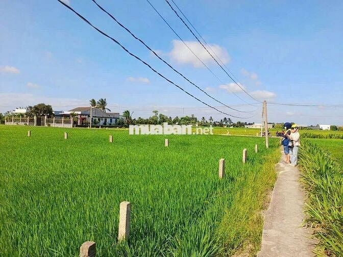 1145m2 đất thổ xây nhà vườn cực đẹp chỉ 1.1 tỷ
