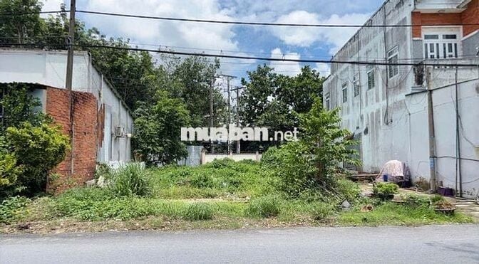 560 TRIỆU. LÔ ĐẤT NGỘP SÁT TỈNH LỘ 8 CHỈ 500m XÃ PHƯỚC VĨNH AN, CỦ CHI