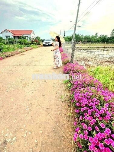145m2 đất thổ cư đường xe tải nguyễn văn thọ, chỉ 599 tr