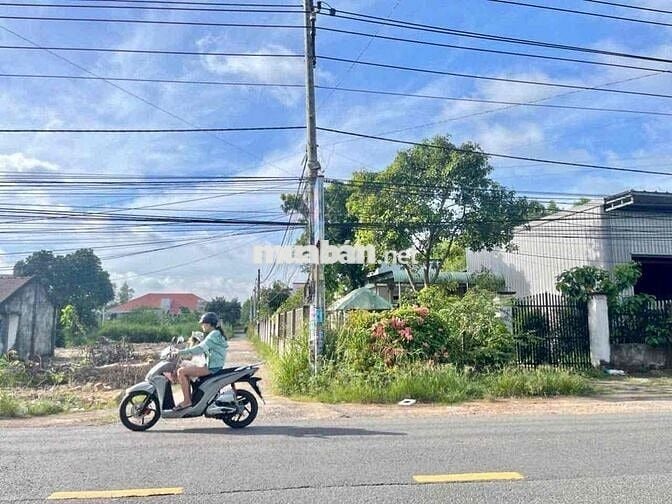 ✨ LÔ ĐẤT 1 XẸC PHÙNG HƯNG – NỞ HẬU 9M, PHONG THỦY SINH LỘC ✨  🍀 DT: 5.