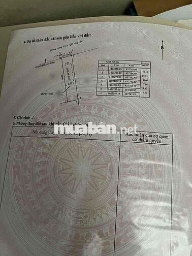 ĐẤT HẺM PHẠM VĂN ĐỒNG PHƯỜNG TÂN LẬP