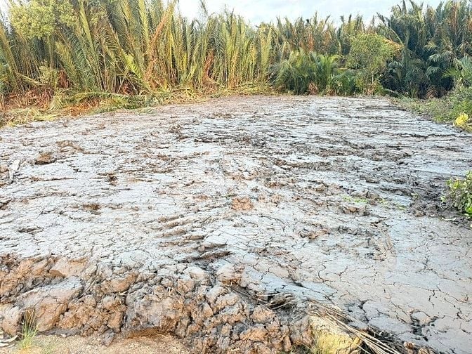 Cần bán 377m2 đất cây lâu năm đường liên ấp 2-3, Hiệp Phước, Nhà Bè 