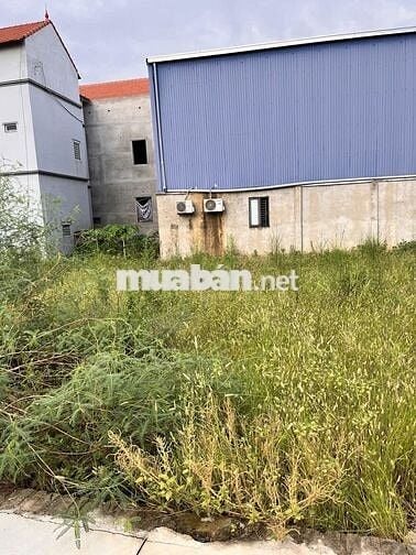 Bán 80m2, đường 5m Thổ Cư tại Hồng Vân, Thường Tín, Hà Nội