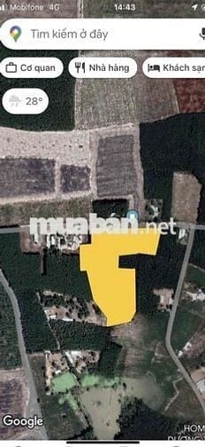 Diện tích: 18.974 Giá bán: 32.000.000.000