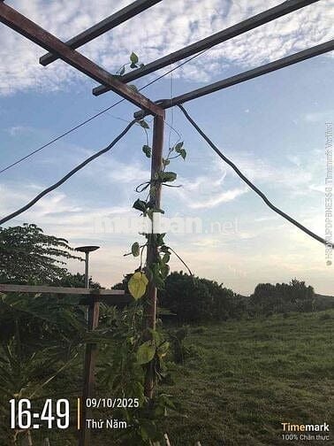 CHÍNH CHỦ CẦN BÁN KHU ĐẤT  Địa chỉ: Xã LÁNG DÀI, Huyện ĐẤT ĐỎ, Tỉnh BÀ