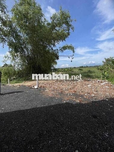 BÁN LÔ ĐẤT KIỆT Ô TÔ – MAI ĐĂNG CHƠN – SÁT LÀNG ĐẠI HỌC chỉ 1tỷ x
