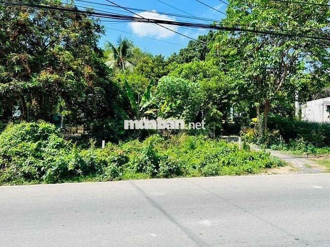 🔥 CHỦ CẦN BÁN GẤP LÔ ĐẤT MẶT TIỀN TỈNH LỘ 15 – CỦ CHI, GIÁ CHỈ 4,3 TỶ!