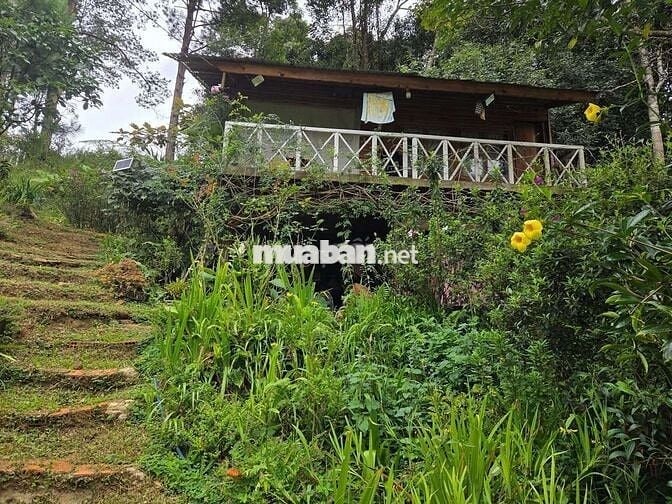 🌿Khi thành phố quá chật chội người ta bắt đầu mơ về một nơi bìnhyên🏡