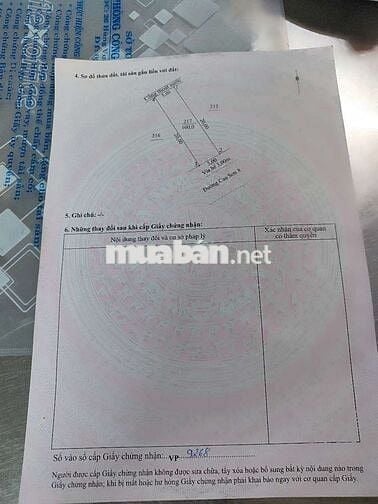 Chính chủ bán lô đất mặt tiền đường 5m5 Cao Sơn 8 Tân Trà
