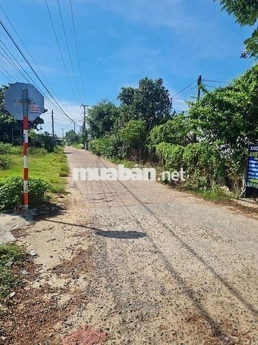 BÁN ĐẤT ĐƯONG CHÍNH 5M LƯU QUANG VŨ HÒA QUÝ