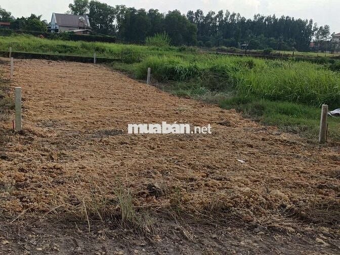 BÁN ĐẤT: 135m2 thổ cư Tân An Hội Mới cách QL22 chỉ 600m - SHR
