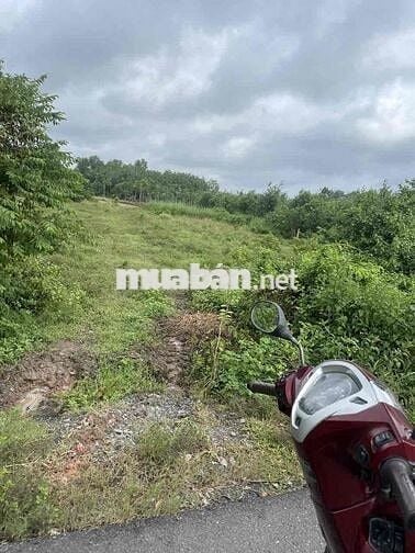 Chính chủ cần bán đất tại đường Hồ Chí Minh, 6 tỷ, 1646,7m2, sổ riêng.