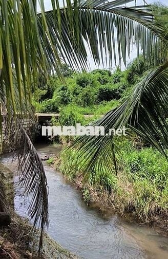 Cần bán 2.13 hecta view suối ở Hắc Dịch,TP.Phú Mỹ