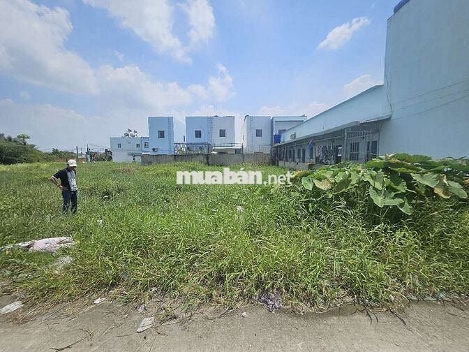 KẸT TIỀN CẦN BÁN ĐẤT THỔ CƯ( KDC Trần Anh, Mỹ Hạnh Nam)